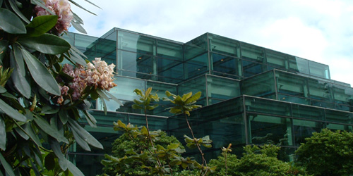 dpj_wsctc_building_back