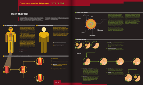 magazine article segment comparing how Cardiovascular Disease and HIV/AIDS affect the body